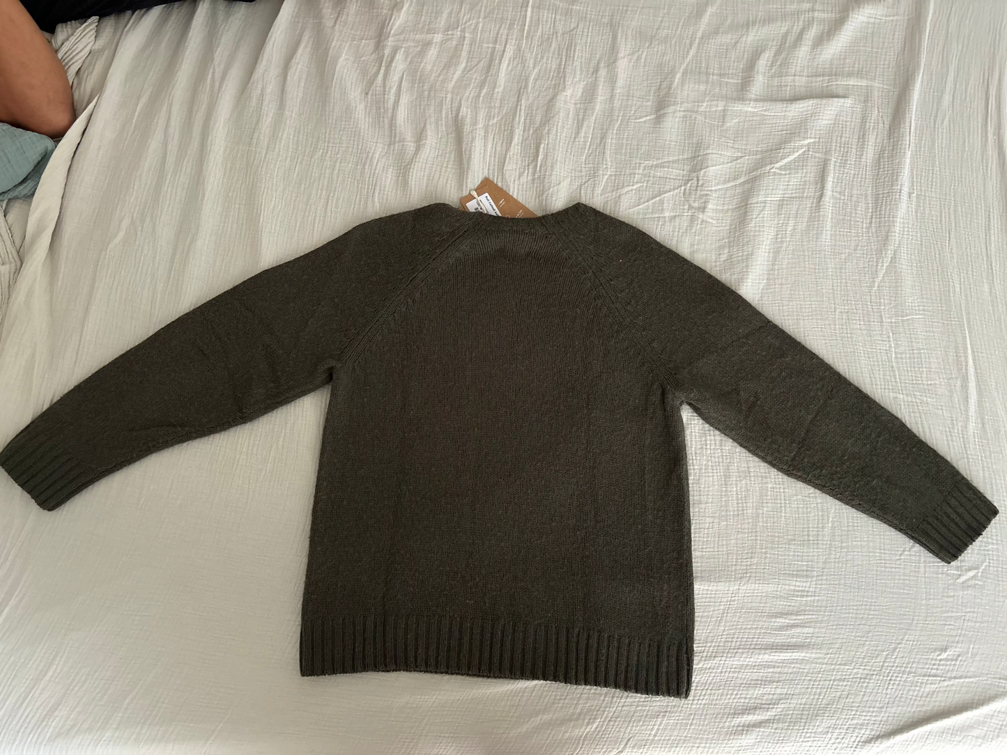 Pull Collodi kaki