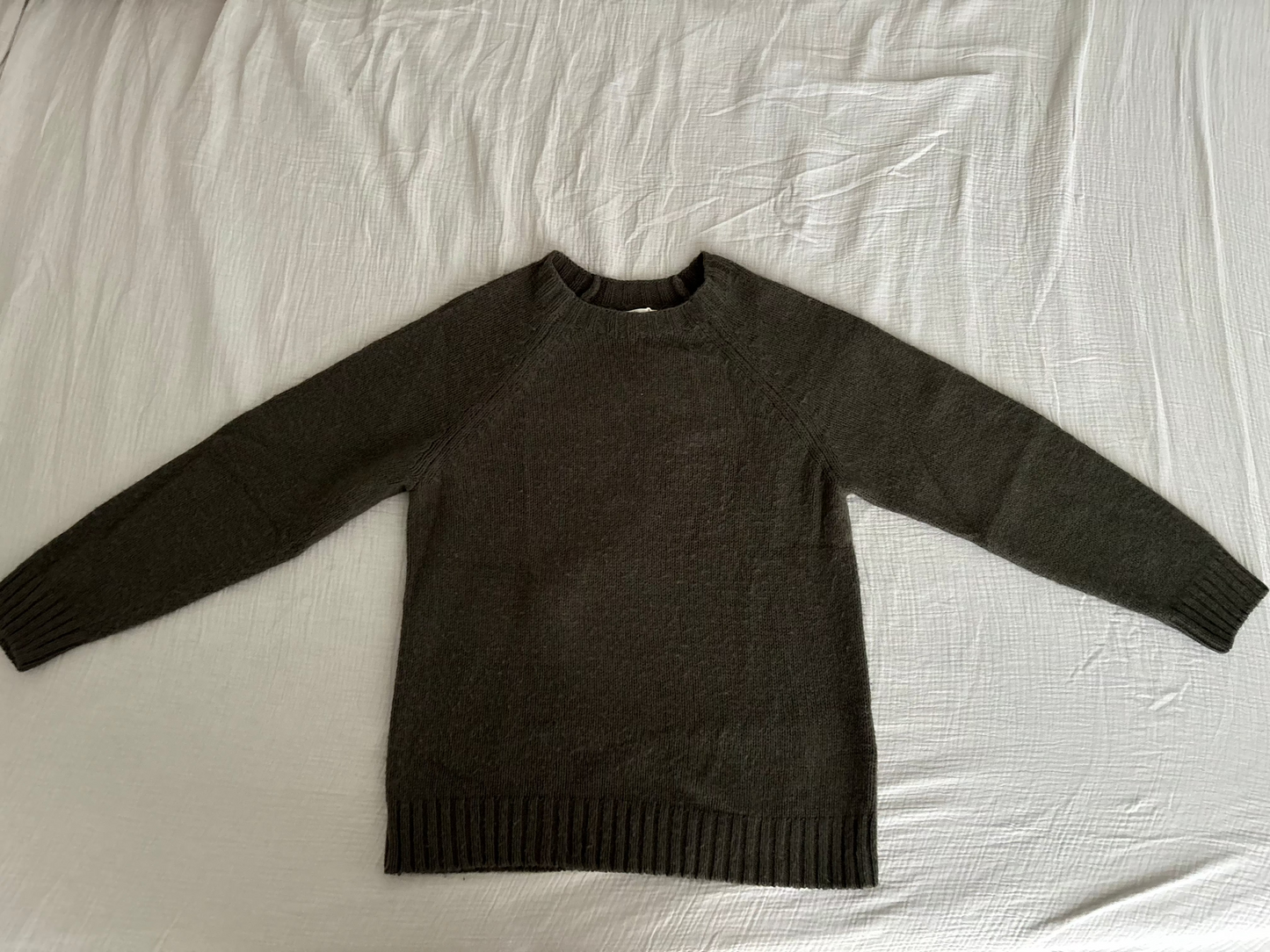 Pull Collodi kaki