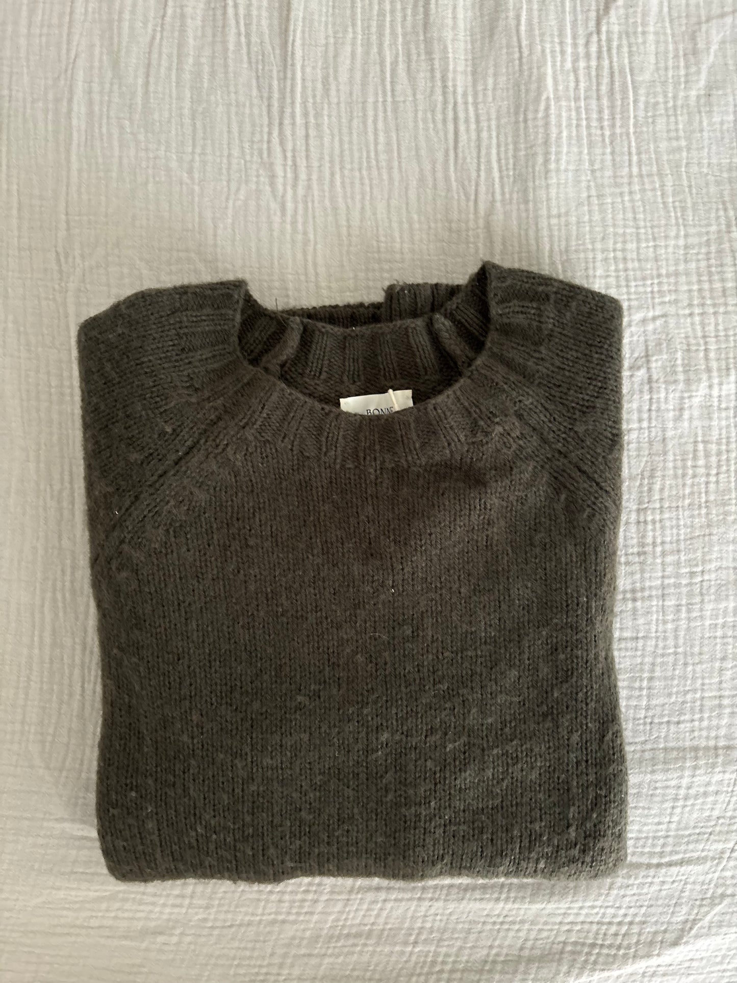 Pull Collodi kaki