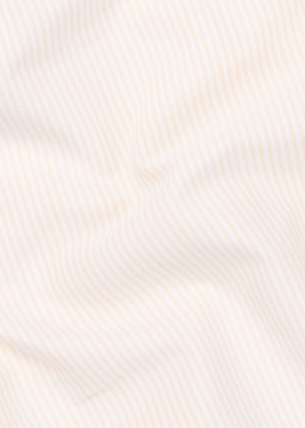 Chemise Calvi jaune et blanc