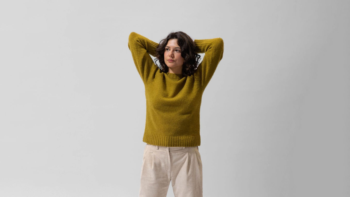 Pull Collodi lichen