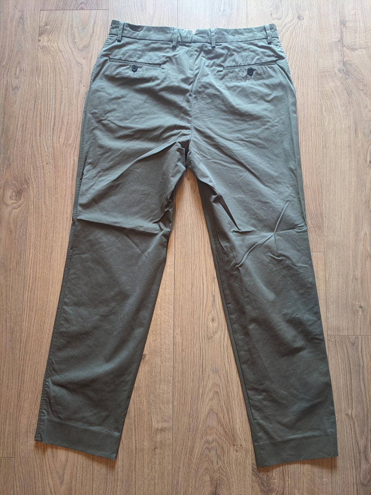Chino Ivy kaki
