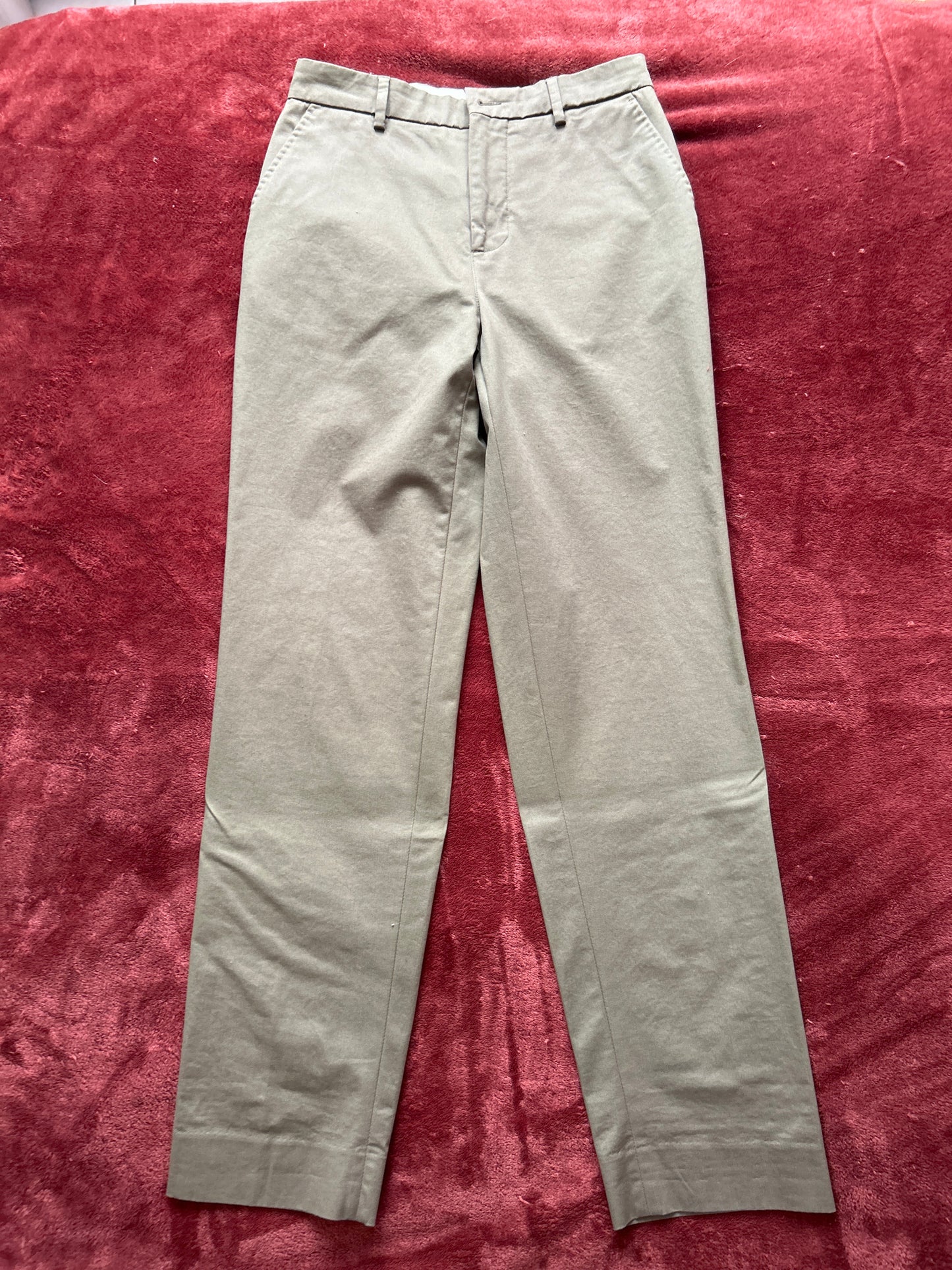Chino Ivy kaki