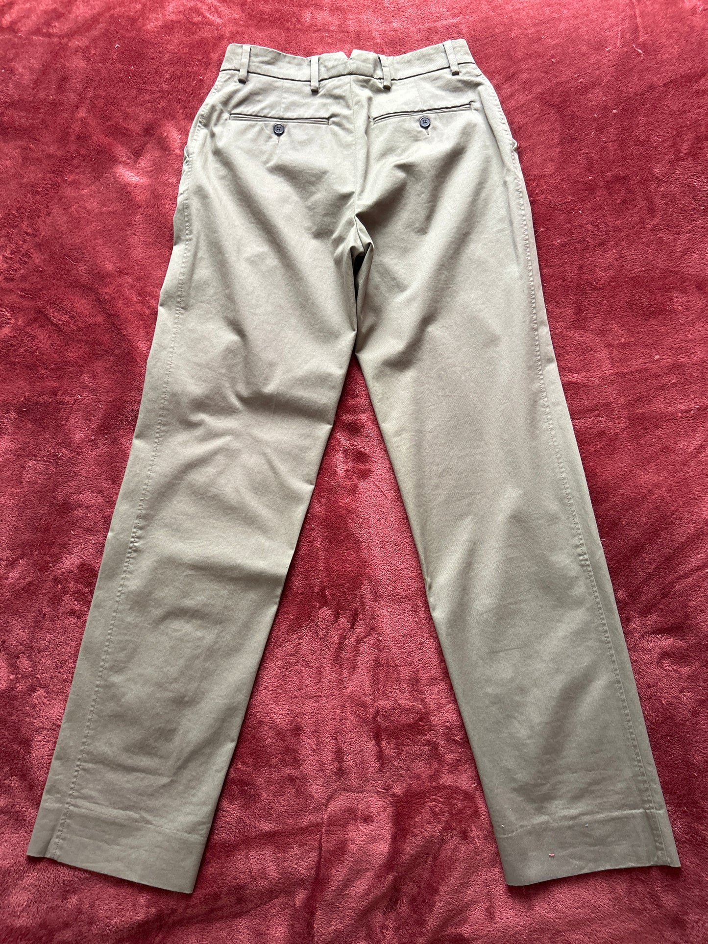 Chino Ivy kaki