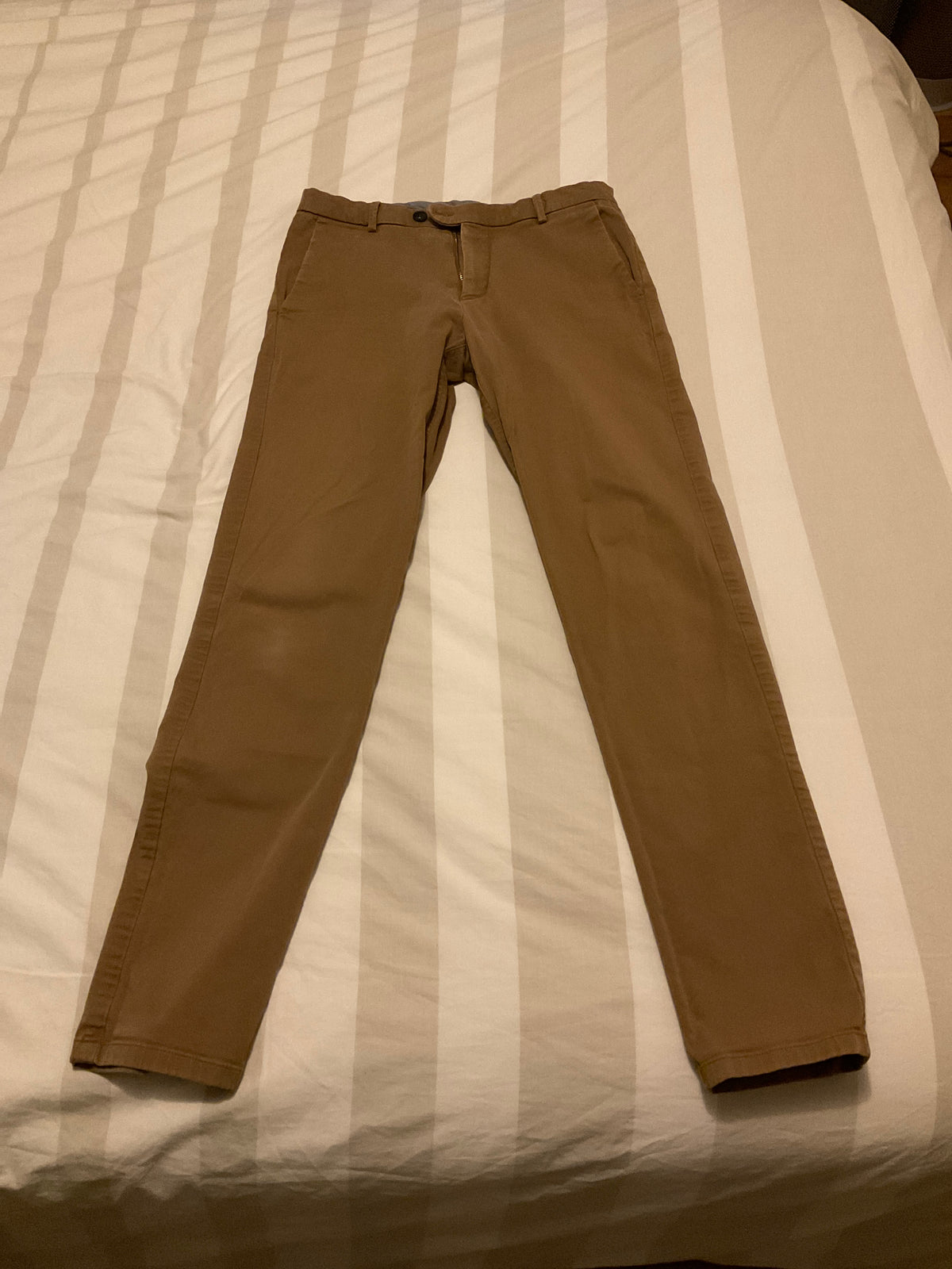 Chino Axel camel