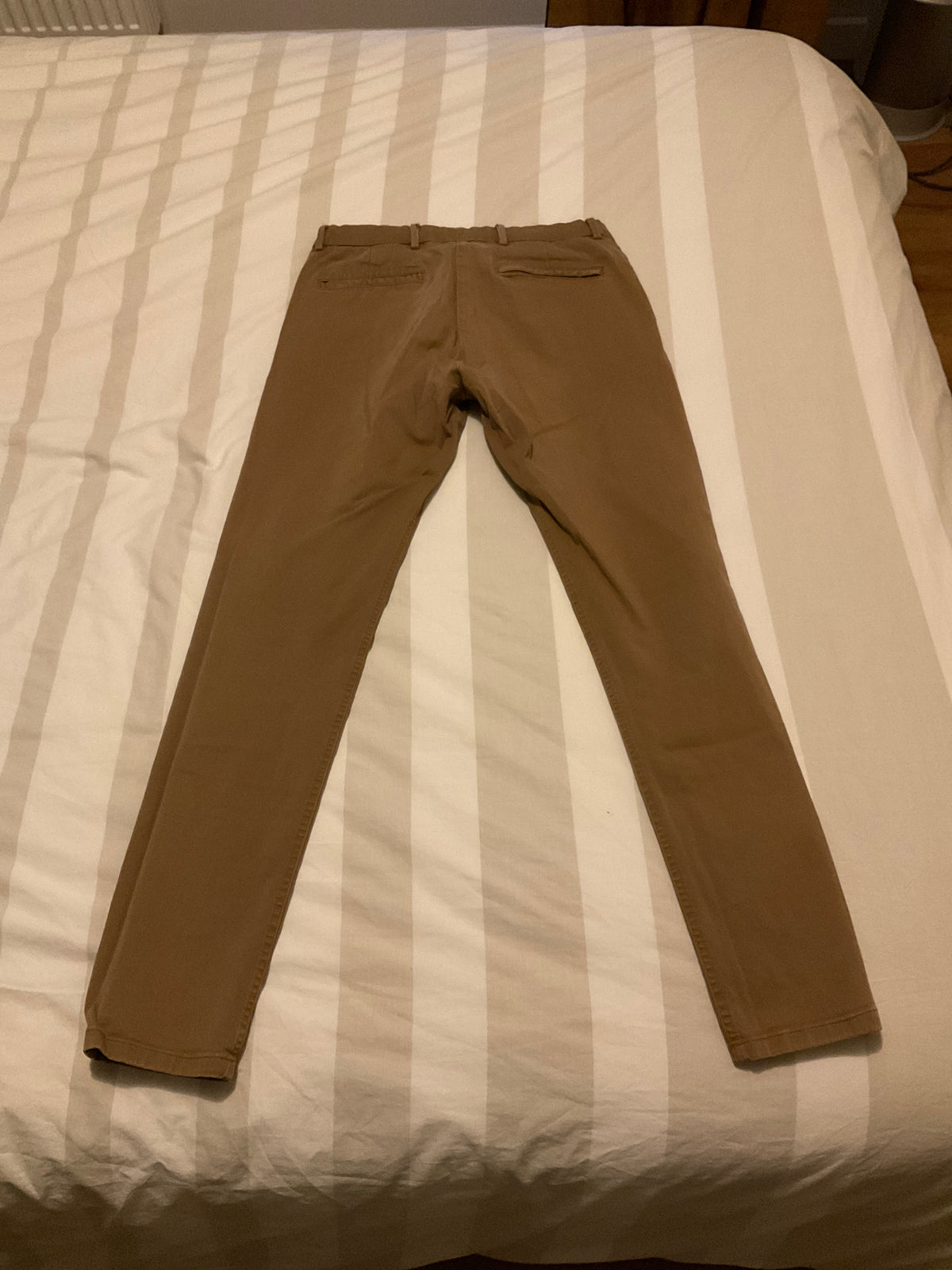 Chino Axel camel