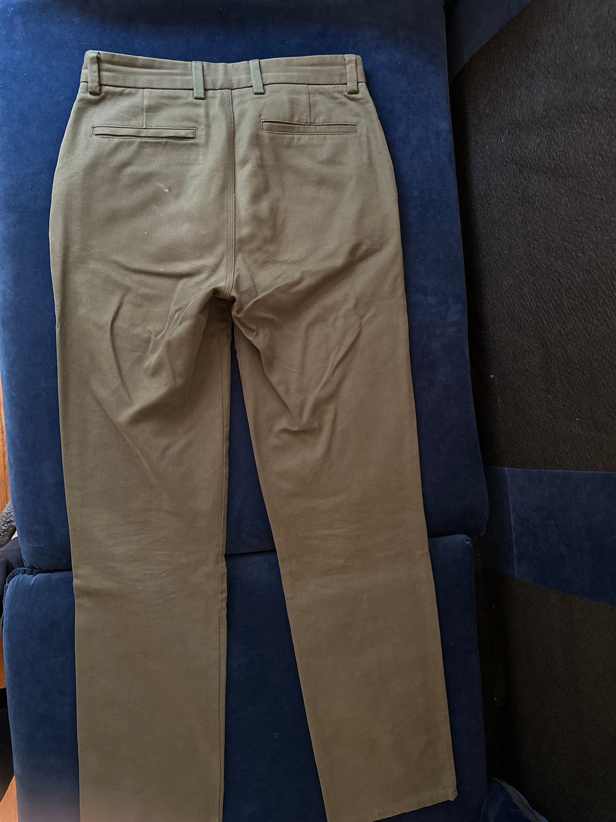 Pantalon Princeton vert