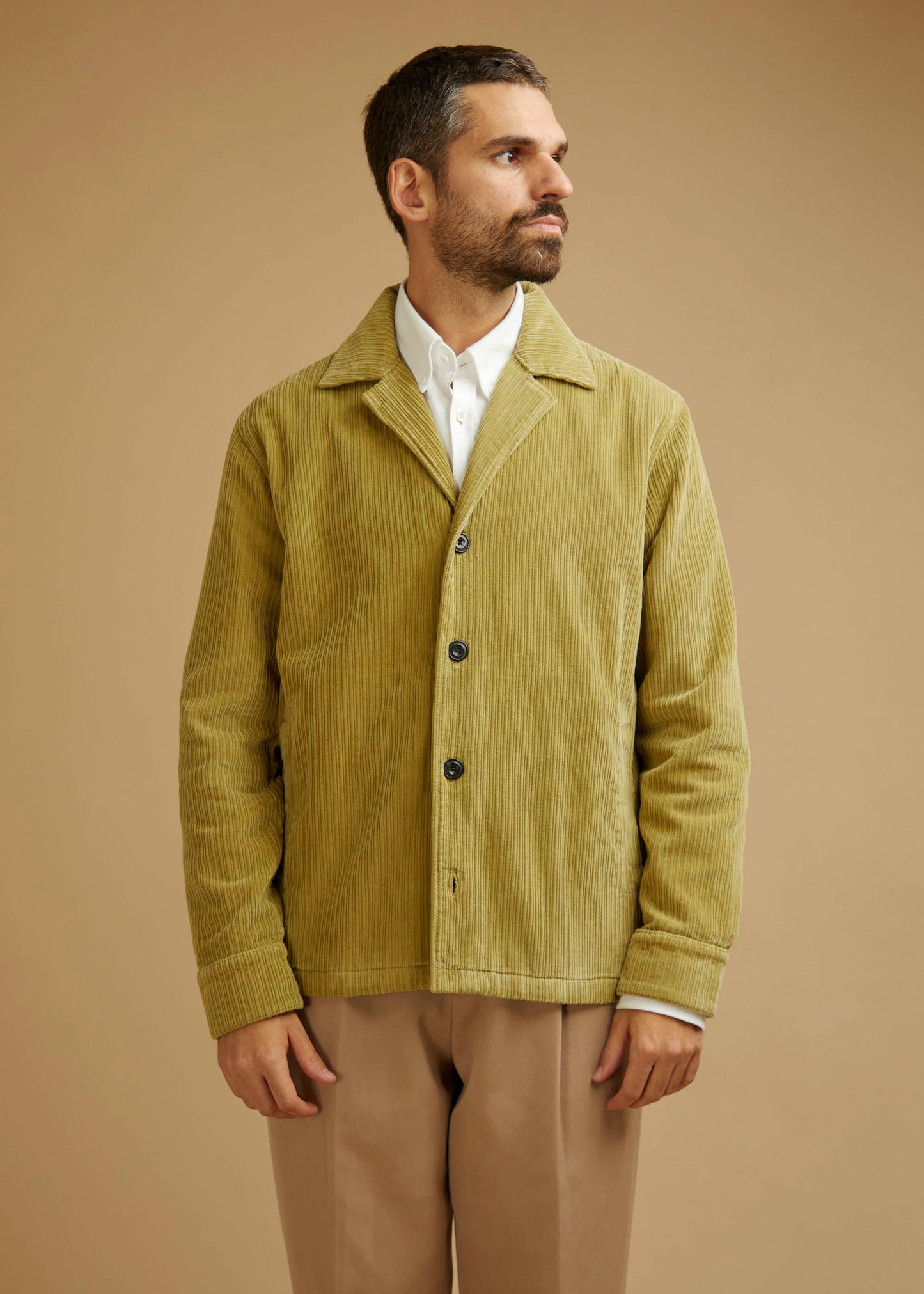 Veste Hokokuji lichen