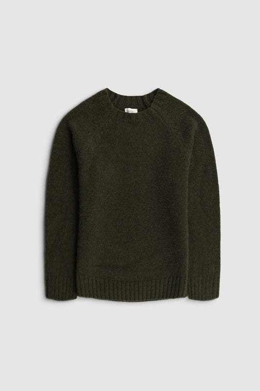 Pull Collodi kaki