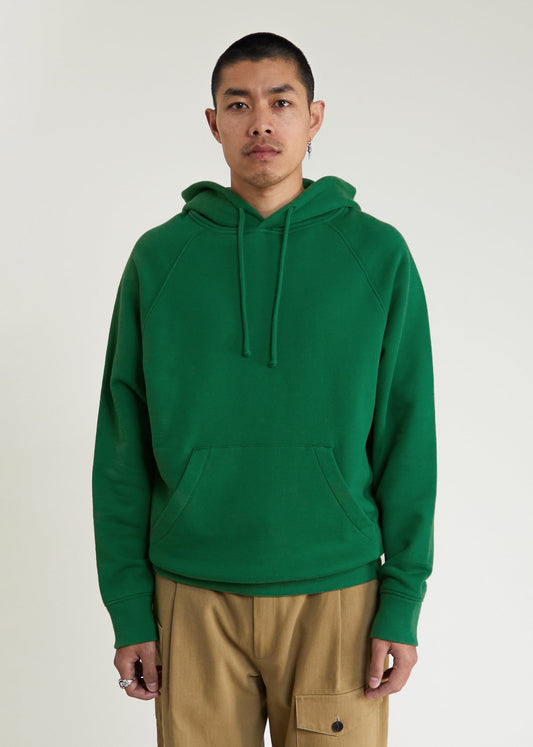Hoodie Michigan vert