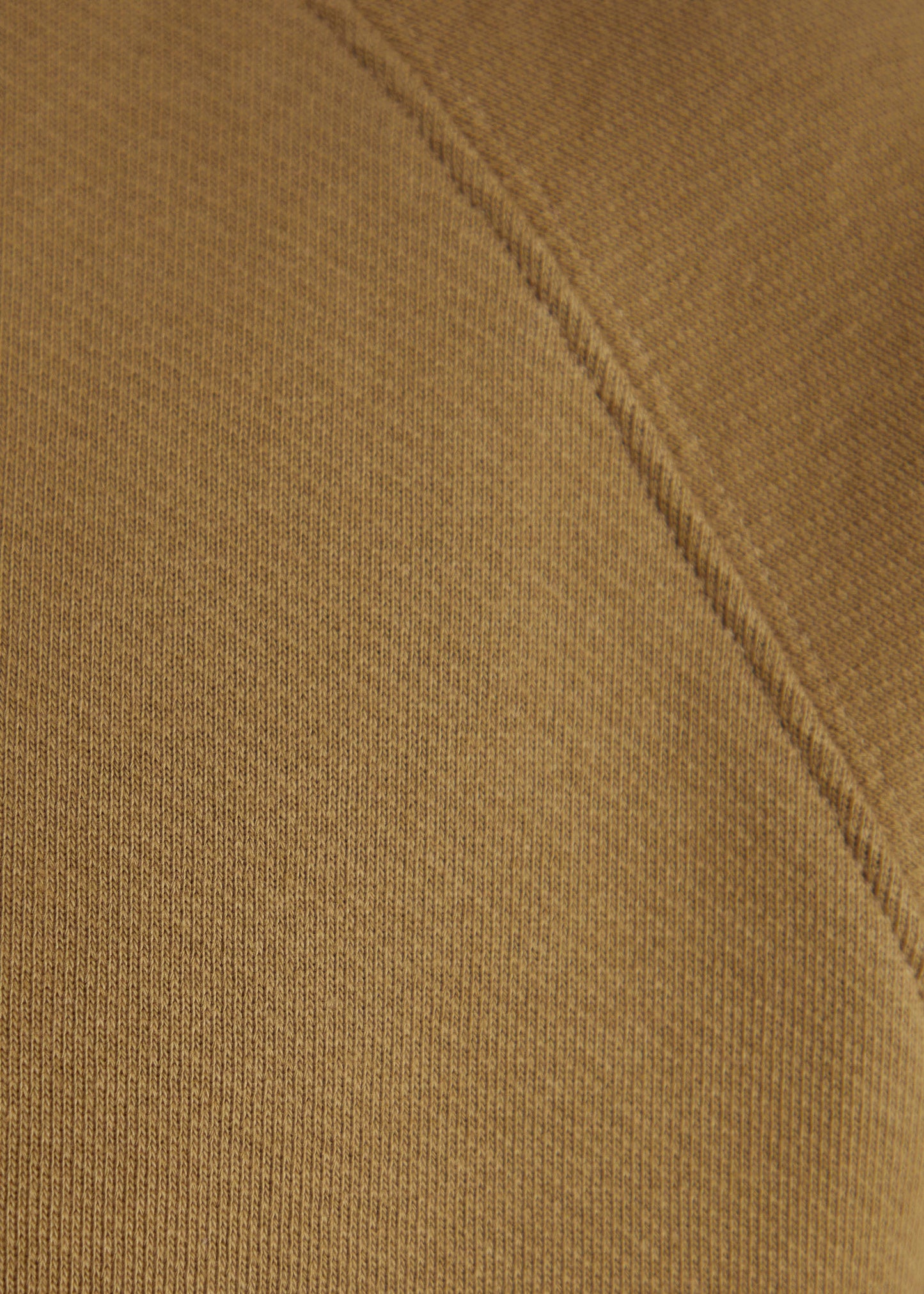 Sweat Rhode coyote