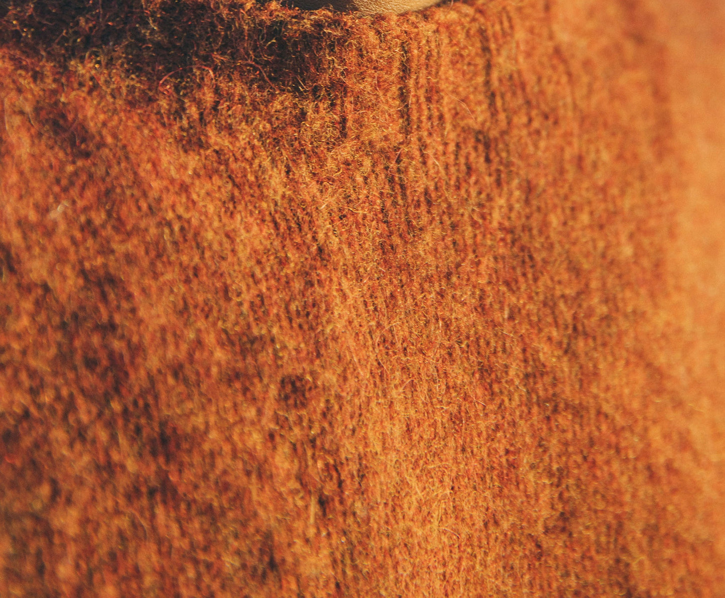 Pull John cognac