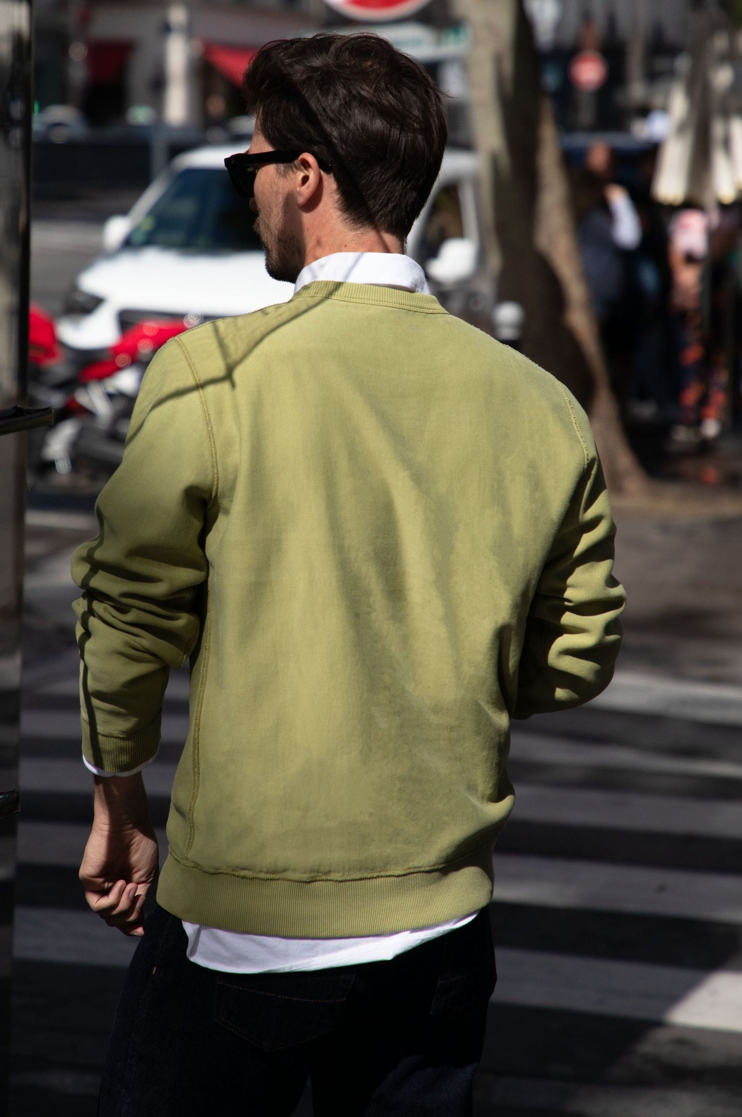 Sweat Setubal lichen