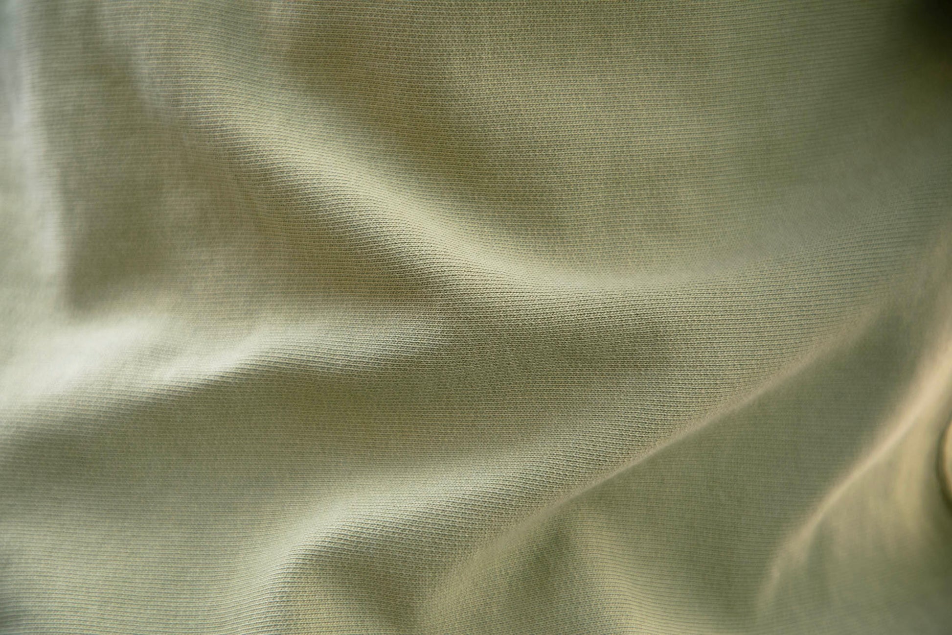 Sweat Setubal lichen